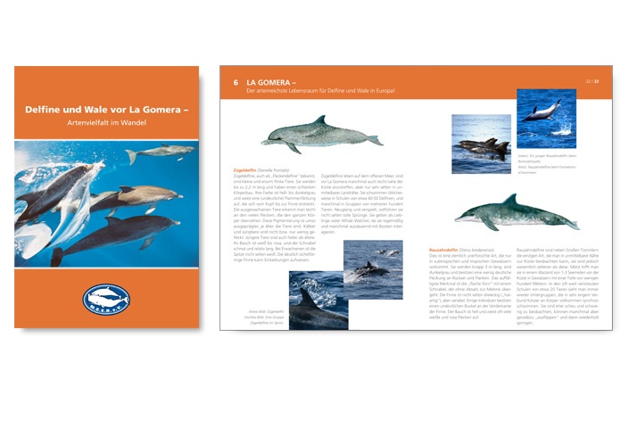 Broschüre von M.E.E.R. e.V. mit Wal- und Delfinillustrationen von Katrin Wähner